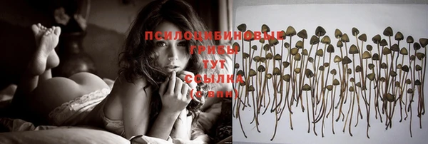 эйфоретик Кукмор