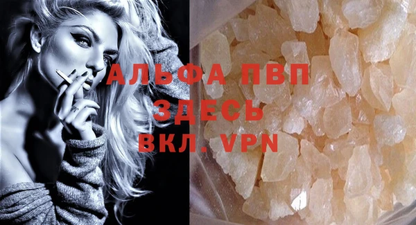 эйфоретик Кукмор