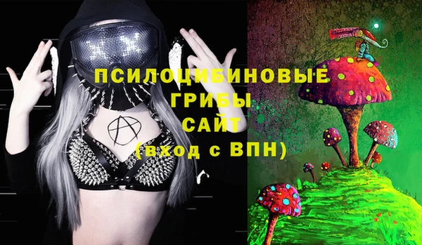 эйфоретик Кукмор