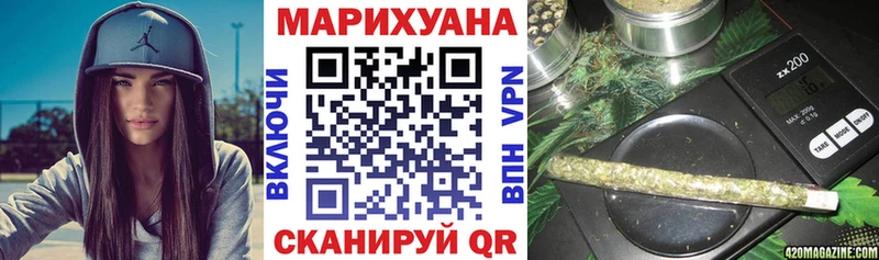Канабис конопля Ленинградская